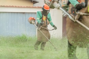 Atentos às demandas da cidade, vereadores já protocolaram 112 requerimentos para as primeiras sessões 