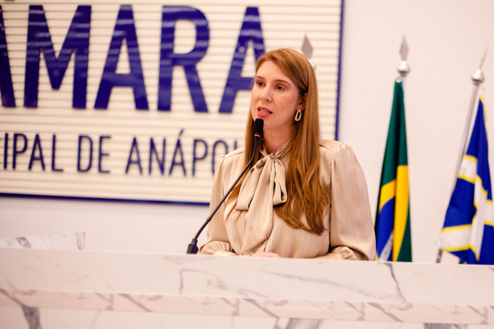 Andreia Rezende homenageia Carlim da Feira e destaca legado de Haydée Jayme, que nomeia Agência de Notícias da Câmara