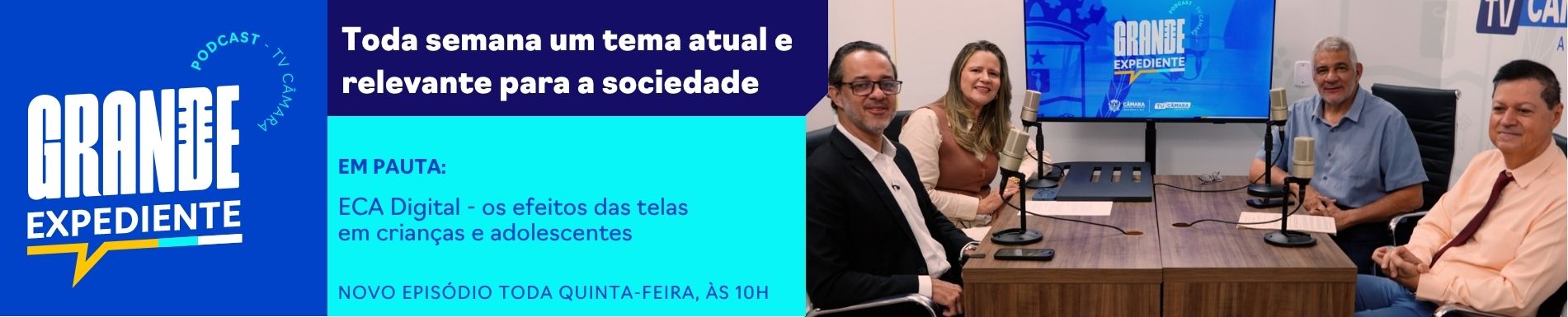 Banner grande expediente