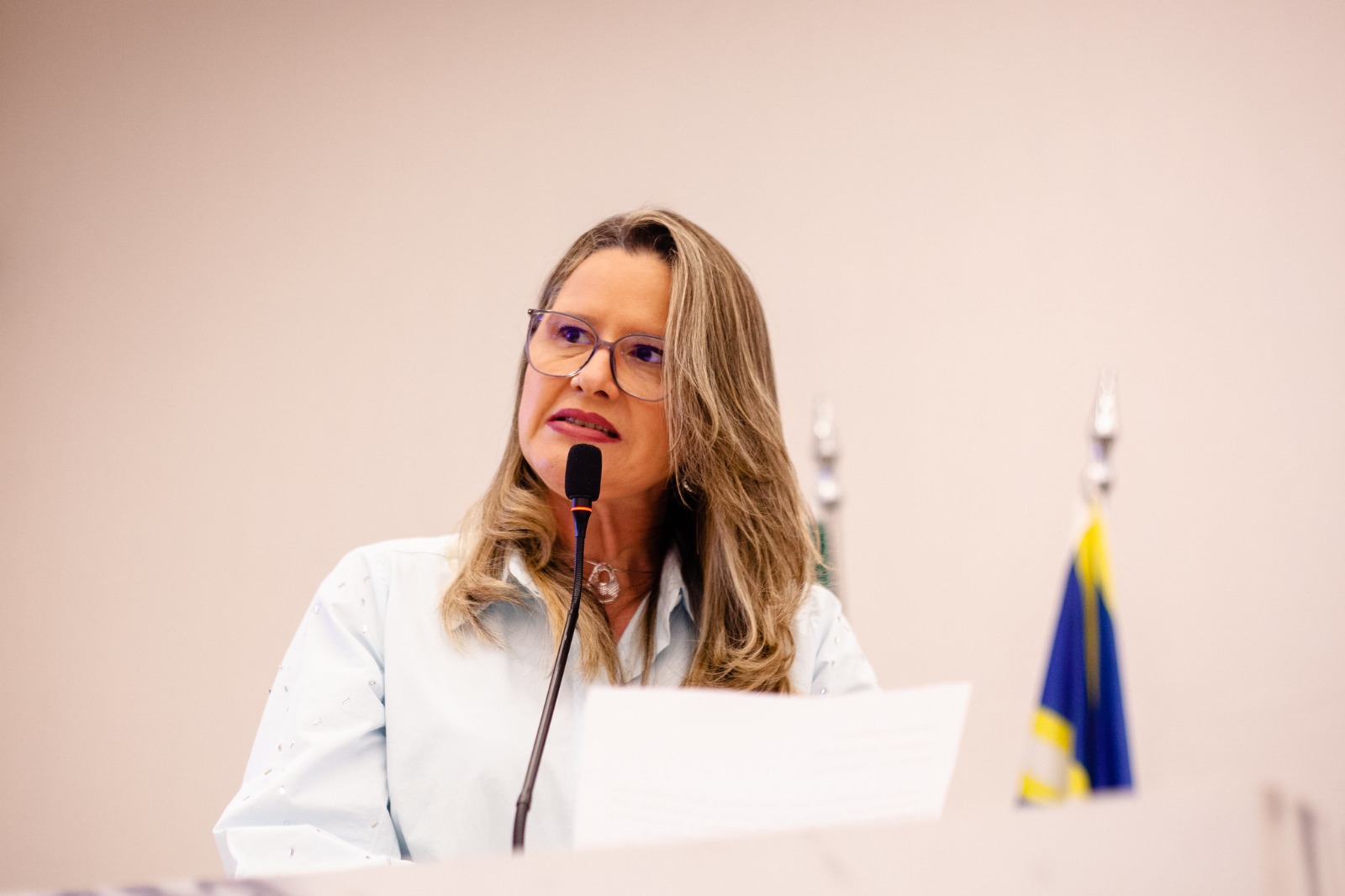 Cleide Hilário, sobre deputada Érica Hilton, presidente da Comissão de Defesa dos Direitos da Mulher da Câmara dos Deputados: “não me representa”