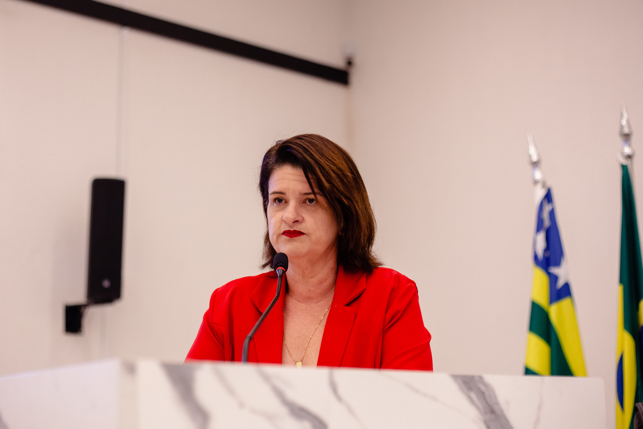 Seliane da SOS anuncia que abrigo e banco de ração para animais conta R$ 1,368 milhão em emendas parlamentares