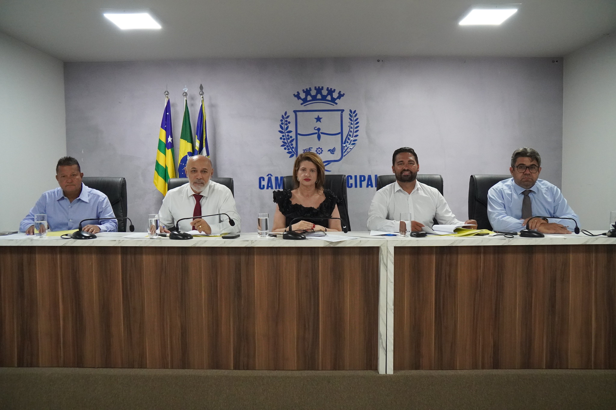 Comissão de Constituição, Justiça e Redação aprova projeto que institui o Programa Escudo Feminino