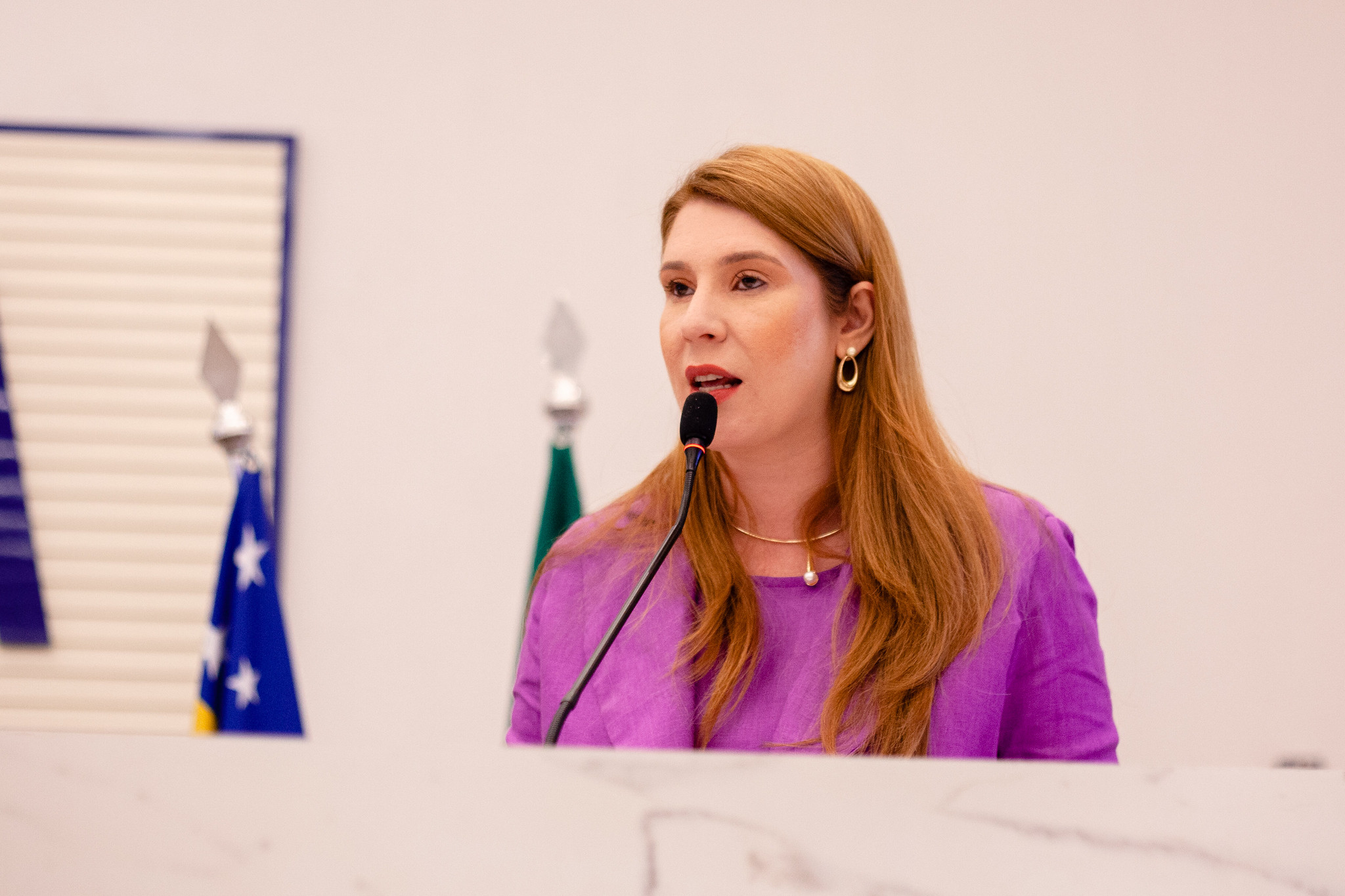 Andreia Rezende destaca prioridade à saúde em destinação de emendas dos vereadores à LDO