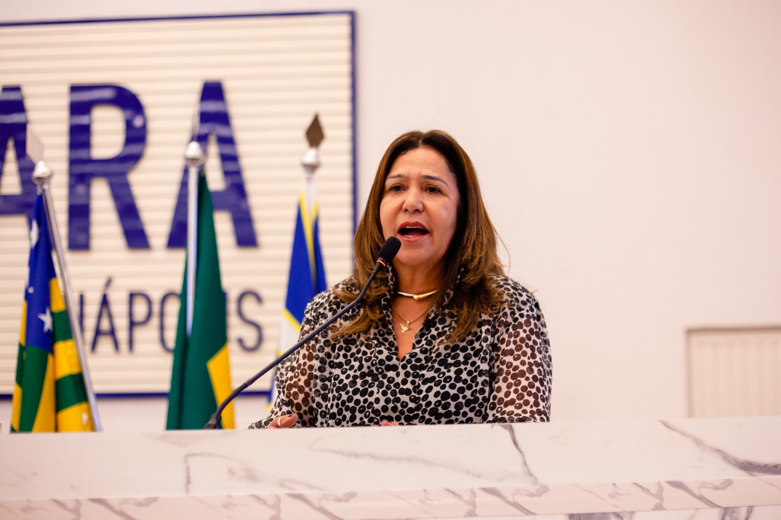 Capitã Elizete destaca a importância da criação do Dia do Músico Militar